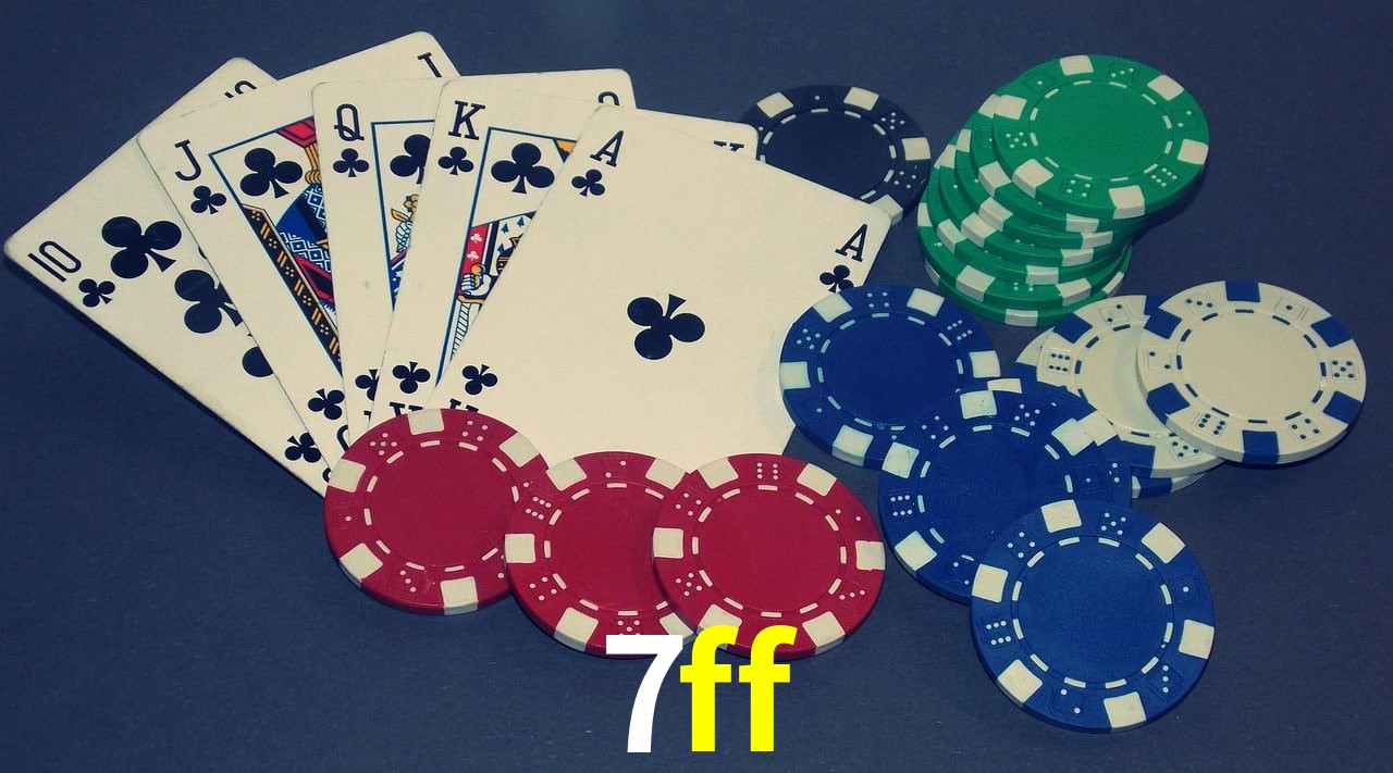 Experiência VIP 7ff